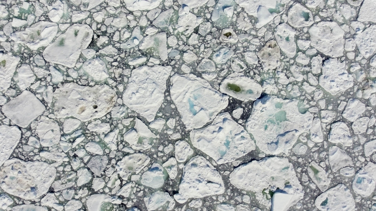Broken sea ice on the open ocean