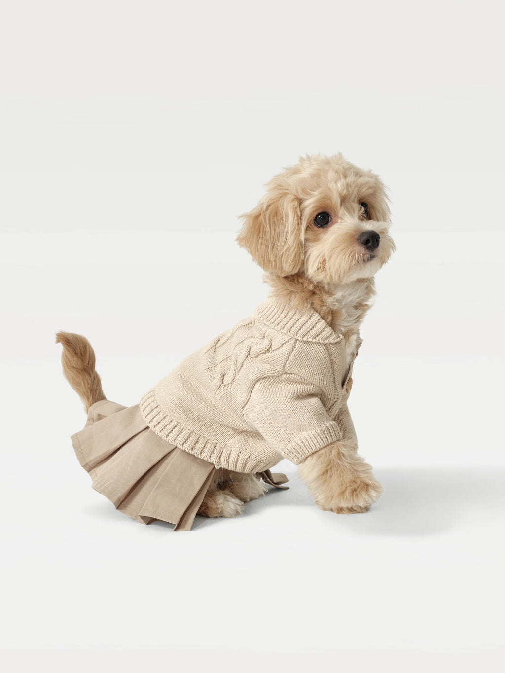 Pet Knit Sweater Dress