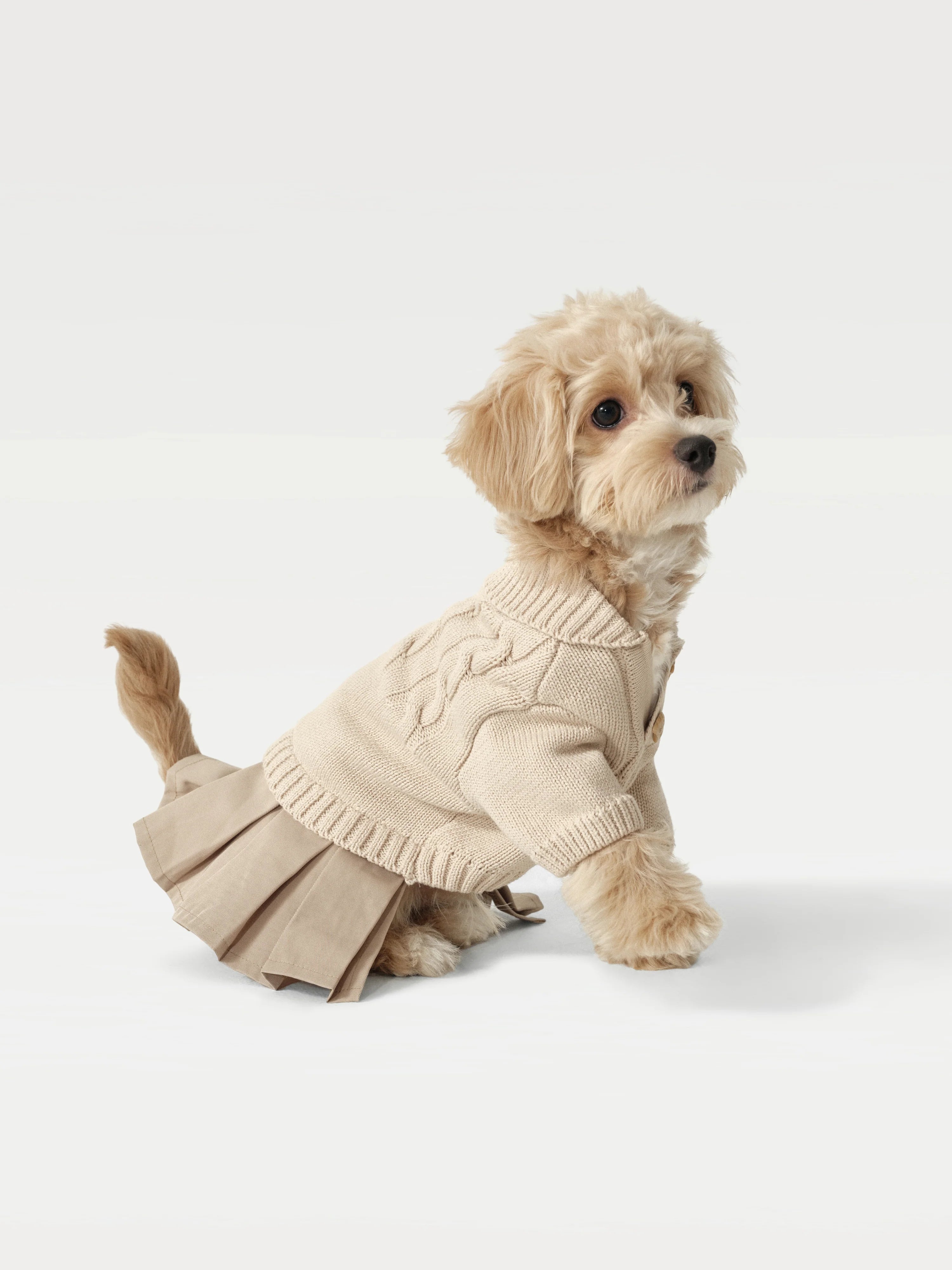 Pet Knit Sweater Dress