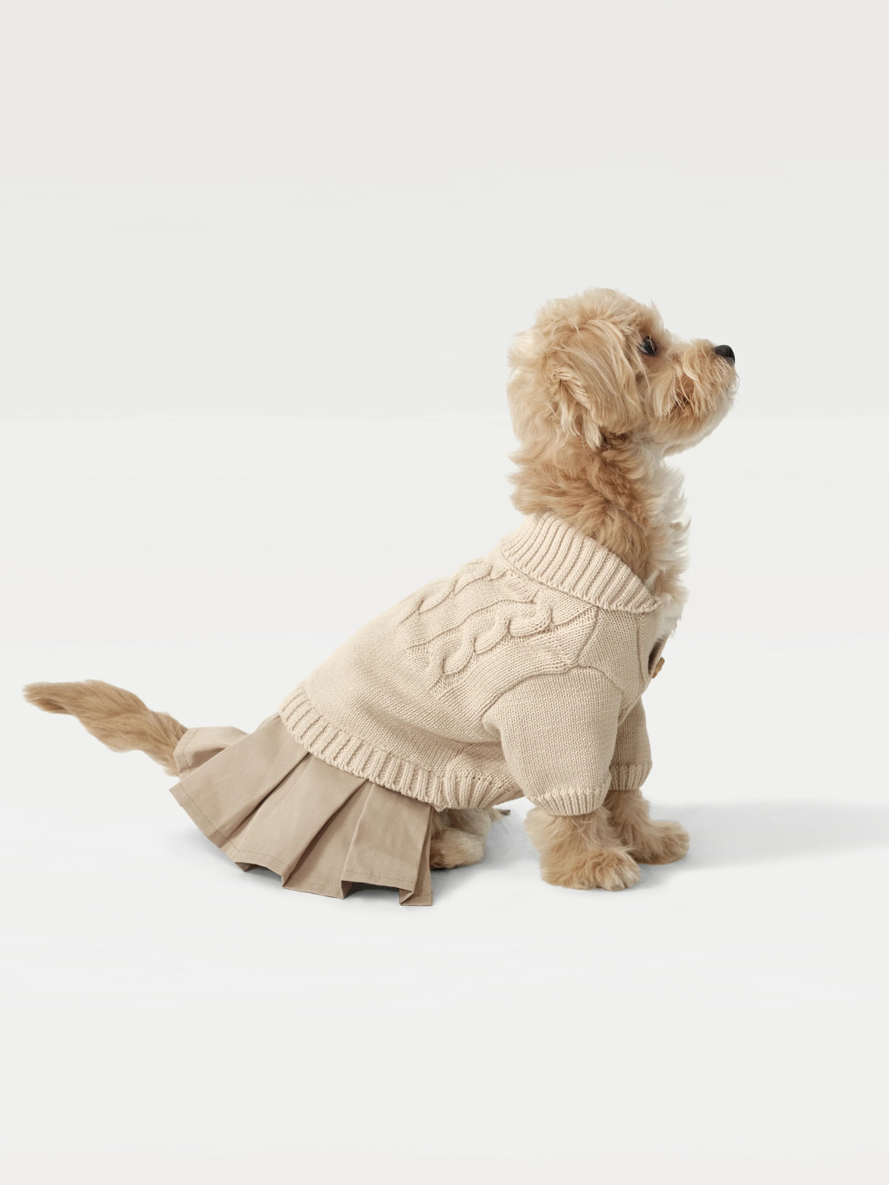 Pet Knit Sweater Dress