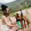 Travel Water Bottle for Dogs