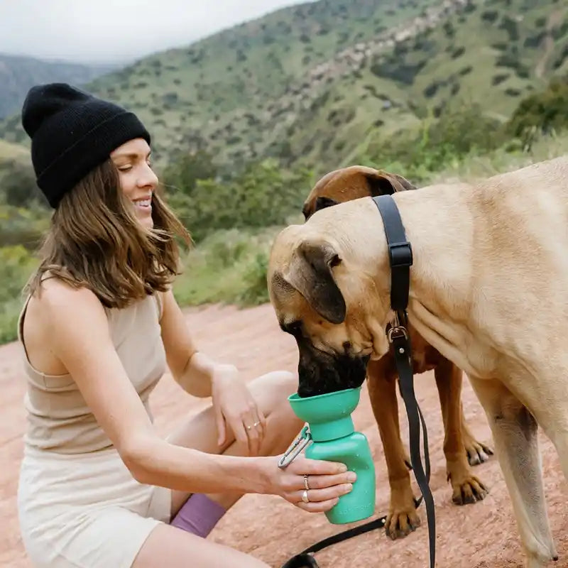 Travel Water Bottle for Dogs