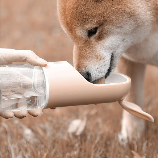 Dog Water Bottle and Food Container