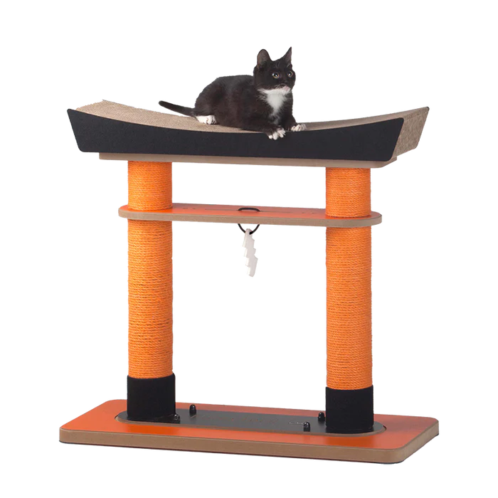 Cat Scratcher