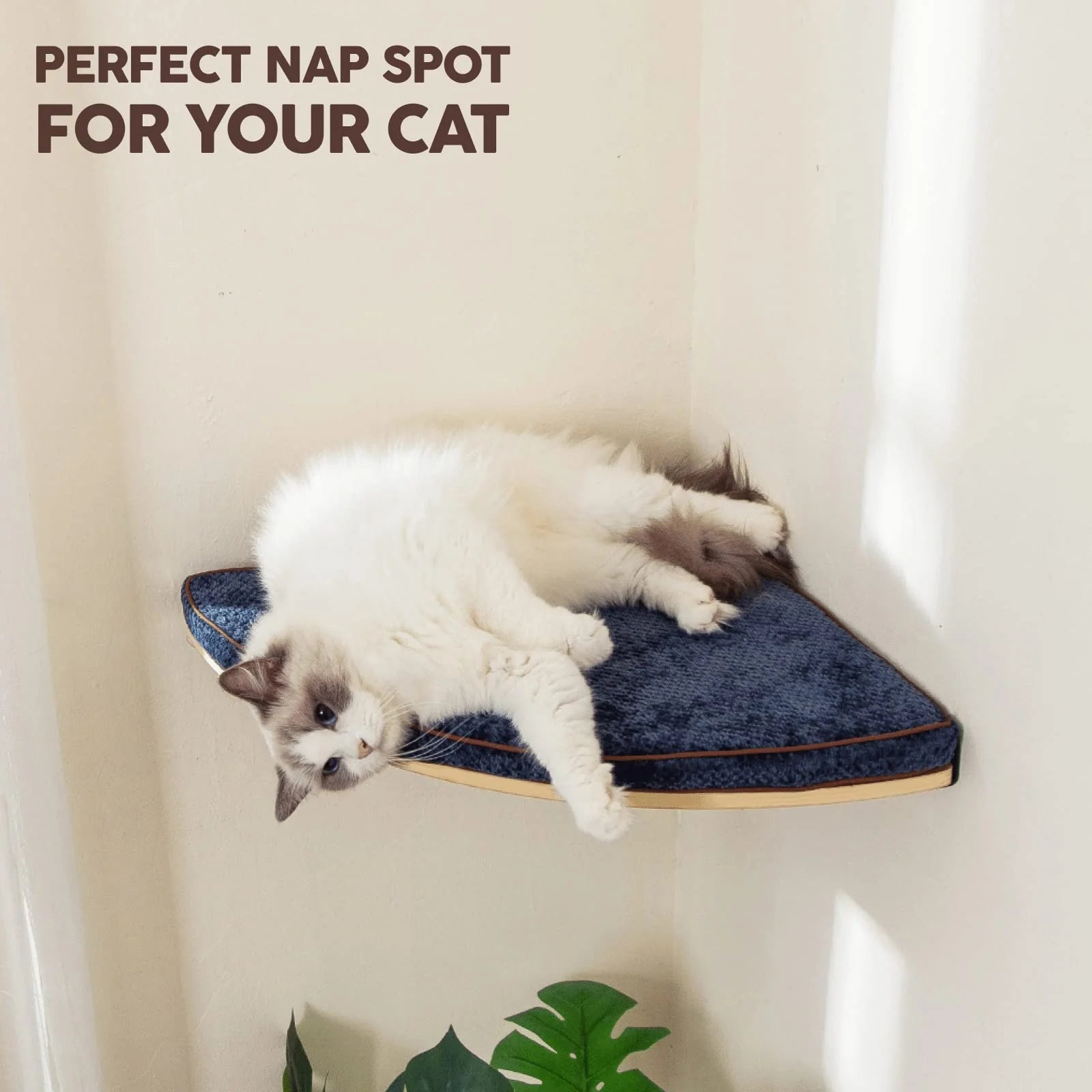 Cat Shelf with Comfortable Cat Pad